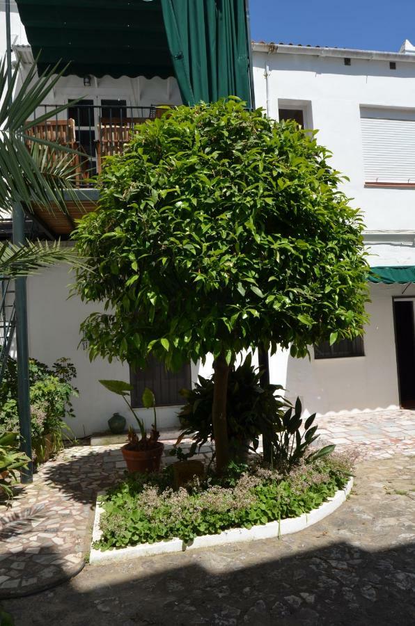Casa Miler Διαμέρισμα Sanlúcar de Barrameda Εξωτερικό φωτογραφία