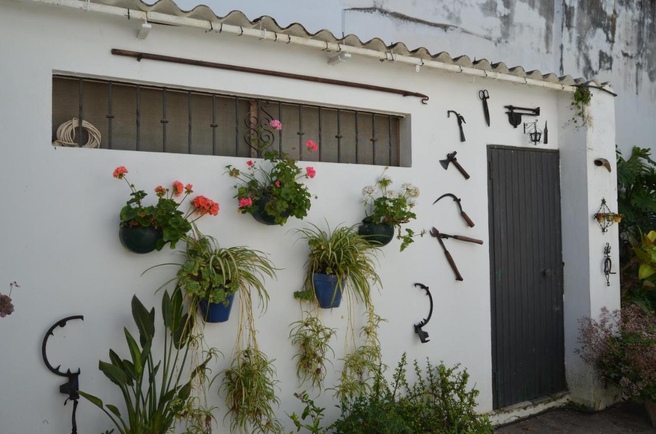 Casa Miler Διαμέρισμα Sanlúcar de Barrameda Εξωτερικό φωτογραφία